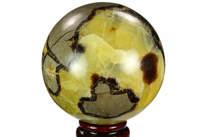Polished Septarian Sphere - Madagascar #122930